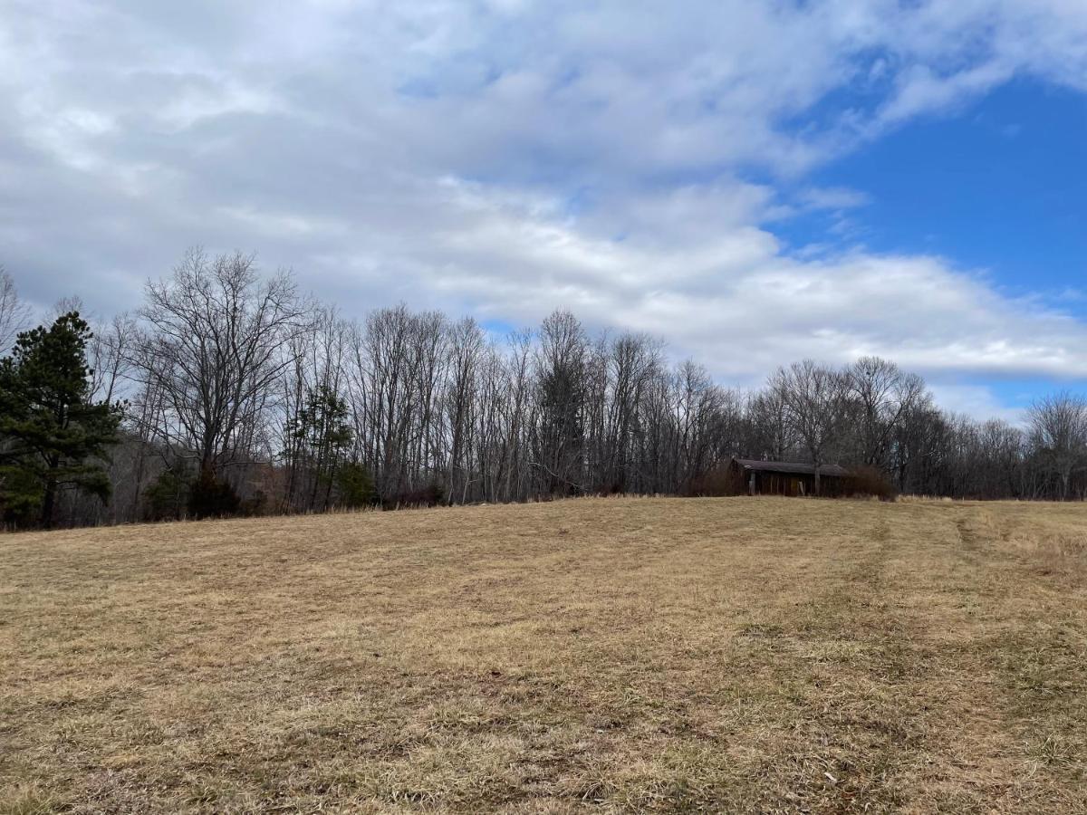 Giggling Creek Cottage - Bedjet! King Sized! Gazebo, 45 Acres, Arcades, Nintendo, More Henry 외부 사진